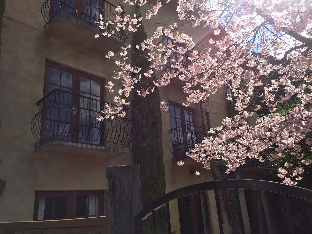 บราวส์บูทิคโฮเต็ล Bed & Breakfast ควีนส์ทาวน์ ภายนอก รูปภาพ